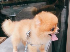 -星巴克(珠海仁恒滨海中心店)