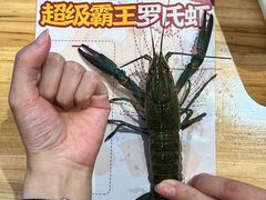 -熊记虾王·小龙虾(东晓南店)