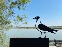 -野鸭湖国家湿地公园