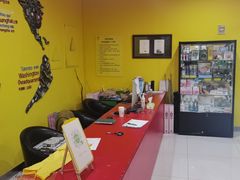 -杨梅红艺术教育(凤城教学中心)