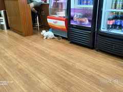 -怡妮新疆风味餐厅(东江湾路店)