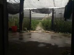 -美兰湖景区
