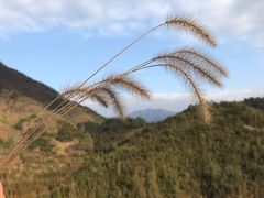 -仙霞关景区