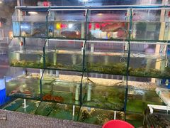 水产区-凯华海鲜火锅·传承三十六年