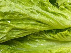 -菌之家·专业纯野生菌火锅·特色炒菌