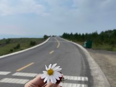 -草原天路(张北县)