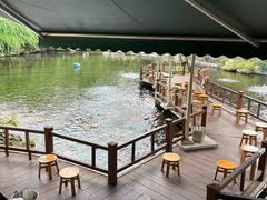 -桂湖森林公园
