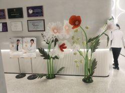-轻辰医美