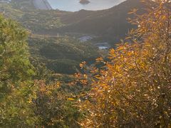 -北京十三陵国家森林公园蟒山景区