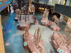 -安徽省地质博物馆