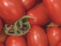 -上海龙吴水胜海发市场