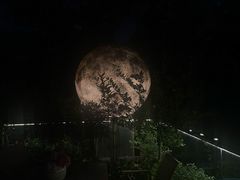 -恬阿姨庭院餐厅·生日宴