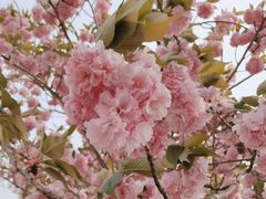 -古柏渡飞黄旅游区