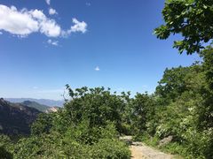 -阳台山自然风景区