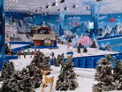 -长沙湘江欢乐雪域