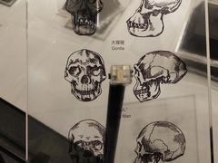 -北京周口店北京人遗址博物馆