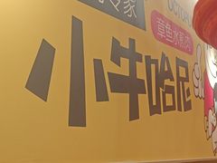 -小牛哈尼章鱼水煎肉(金鹰店)