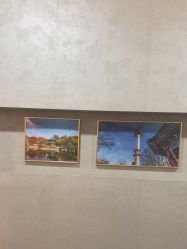 -上海首尔丽格医疗美容医院