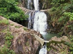 -清溪森林公园