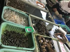 -大湾区中央湿地公园-十九涌
