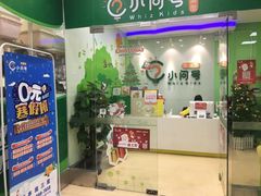-小问号·科学启蒙·逻辑思维·阅读素养·口才演讲(杨浦合生汇中心)