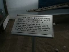 -厦门海底世界