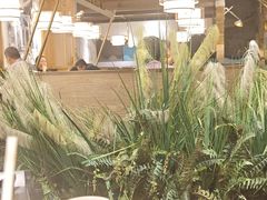 -符离集餐厅(万象城店)