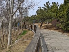 -燕儿岛山公园