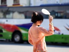 -荷兰红屋
