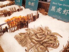 -東盛炭烤自助料理(浦东文峰广场店)