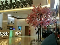 -成都明宇丽雅饭店