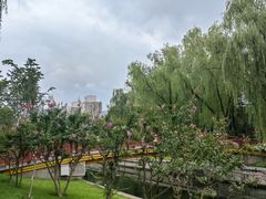 -元大都城垣遗址公园