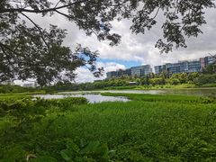 -华侨城湿地公园