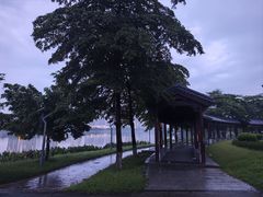 -飞来湖湿地公园