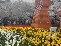-苏州上方山国家森林公园