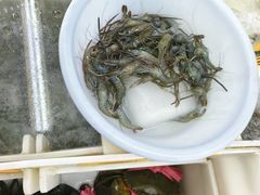-密云菜市场