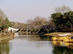 -上海海湾国家森林公园