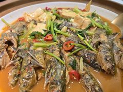 -红椒香·闽北光泽菜·宴请聚会(奥体店)