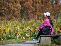 -桤木河湿地公园