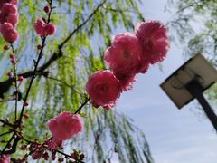-团结湖公园