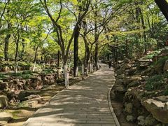 -虞山风景区