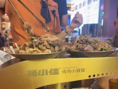 -杨小佳·齐齐哈尔烤肉·烤串(广州店)