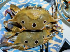 -一号桥自助火锅城(揽秀园西街店)