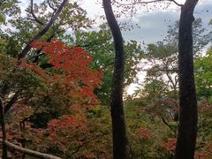 -天女山森林公园