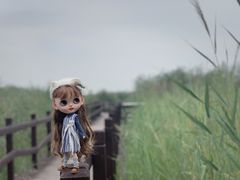 -西青郊野公园