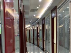 -泰康拜博口腔(世博园乐尔店)