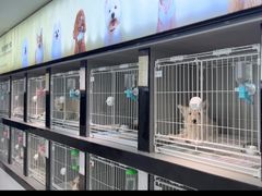-翊宠yipet猫狗购宠庄园