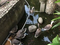 -七仙岭君澜度假酒店·桃源小馆中餐厅