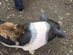 -昆山城市生态森林公园