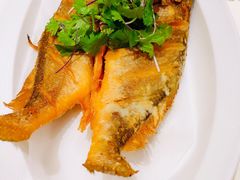 -松花湖水饺(新濠天地店)